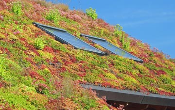 Lower Benefield living roof systems